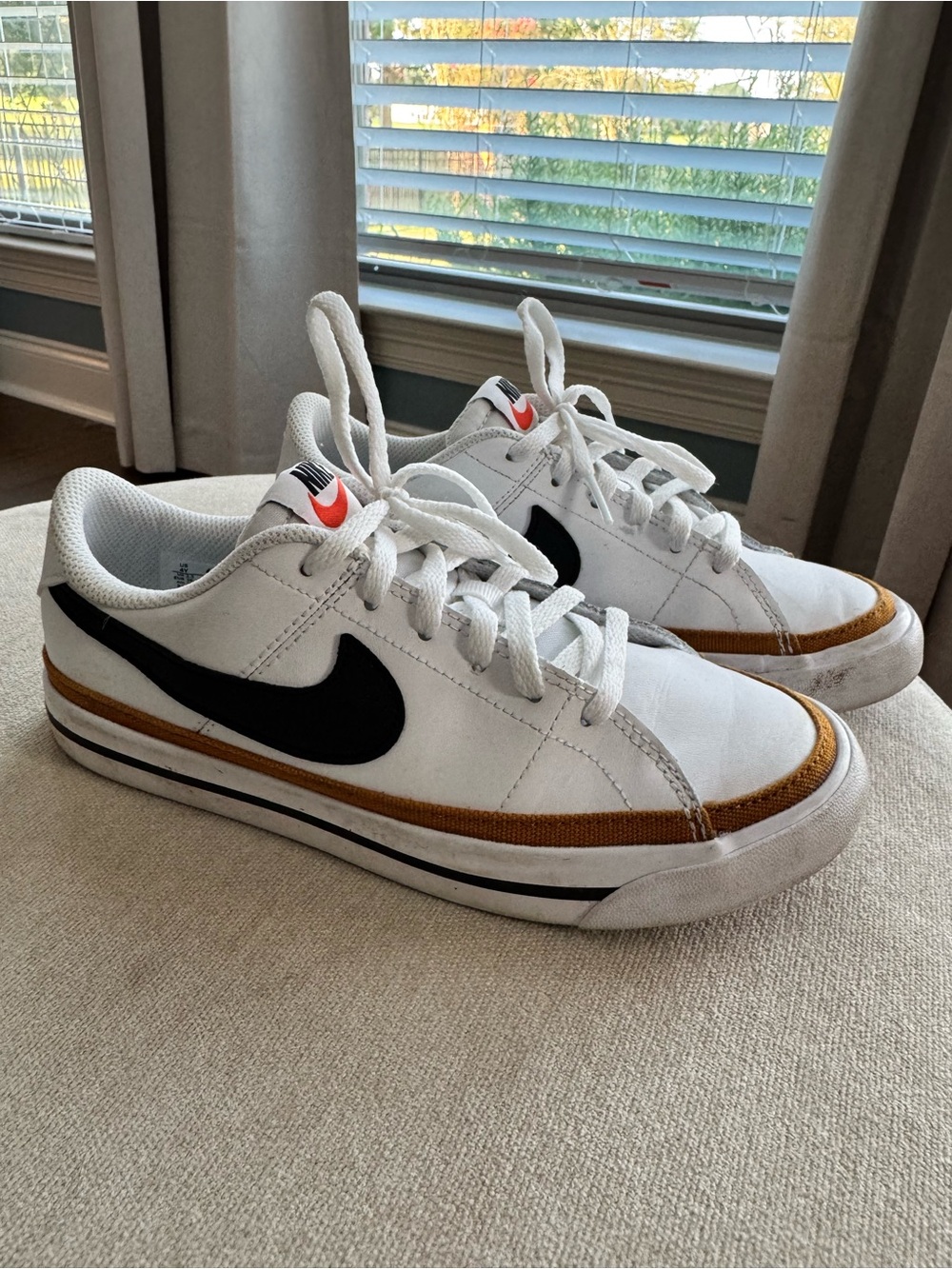 Nike White & Brown Low-Top Sneakers